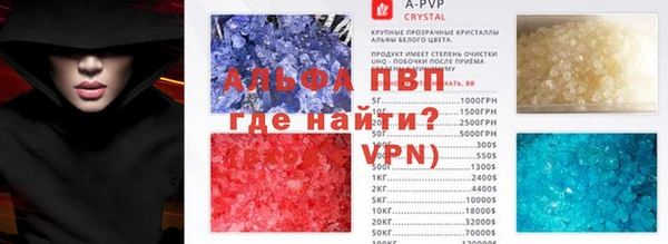 прущие грибы Покачи