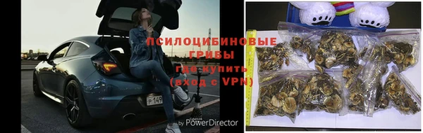 мескалин Арсеньев