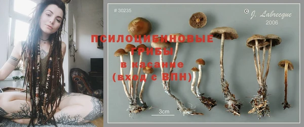 стафф Армянск