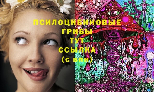 стафф Армянск