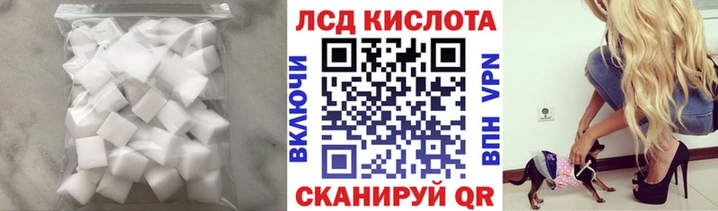 где можно купить Пыталово mega зеркало LSD-25 экстази ecstasy